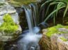 Best Ways To Clean Your Garden Pond In Time For Summer