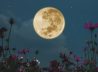 How to see the full Worm Moon and the first lunar eclipse of the year