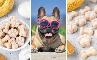 Treat your pup with this easy 3-ingredient dog ice cream recipe