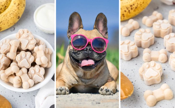 Treat your pup with this easy 3-ingredient dog ice cream recipe