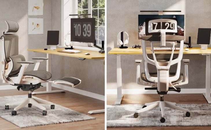 I tried an ergonomic office chair for my chronic back pain