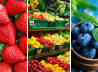 The 2024 ‘dirty dozen’ pesticides in produce list is out
