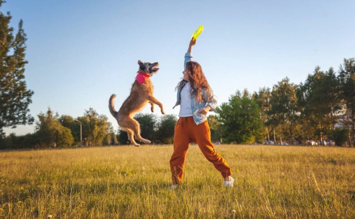 Need to relax? Playing with a dog reduces stress, new study suggests