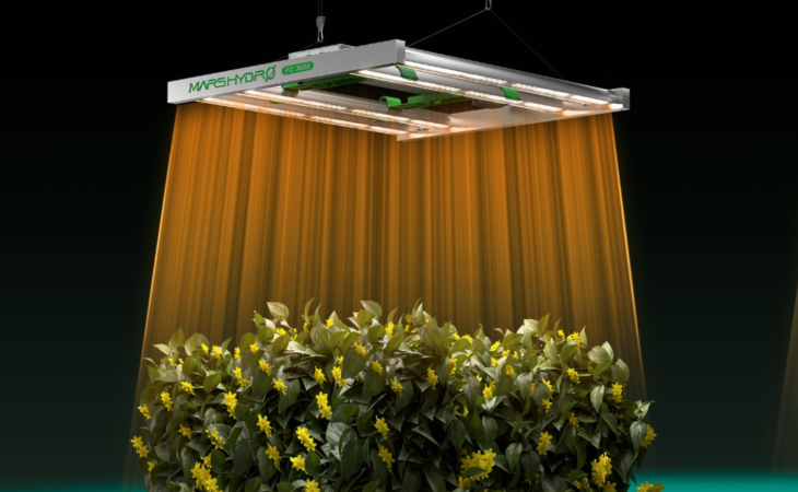 Types of LED grow lights and their efficiency in indoor farming