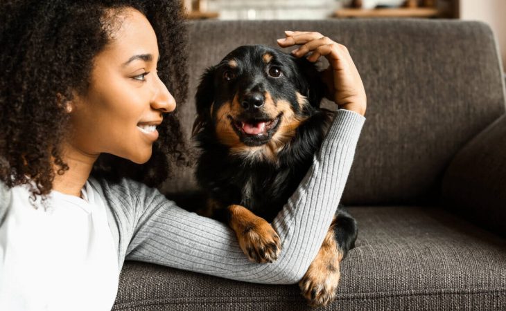 What does it mean when your dog puts their paw on you?