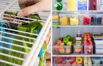 Maximising Space : Clever Storage Solutions for Your Refrigerator During Indian Summers