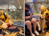 Watch a service dog on Disney Cruise reunite with his favorite character