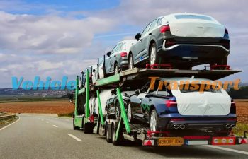 Vehicle Transport Made Easy: Tips for Choosing the Right Services
