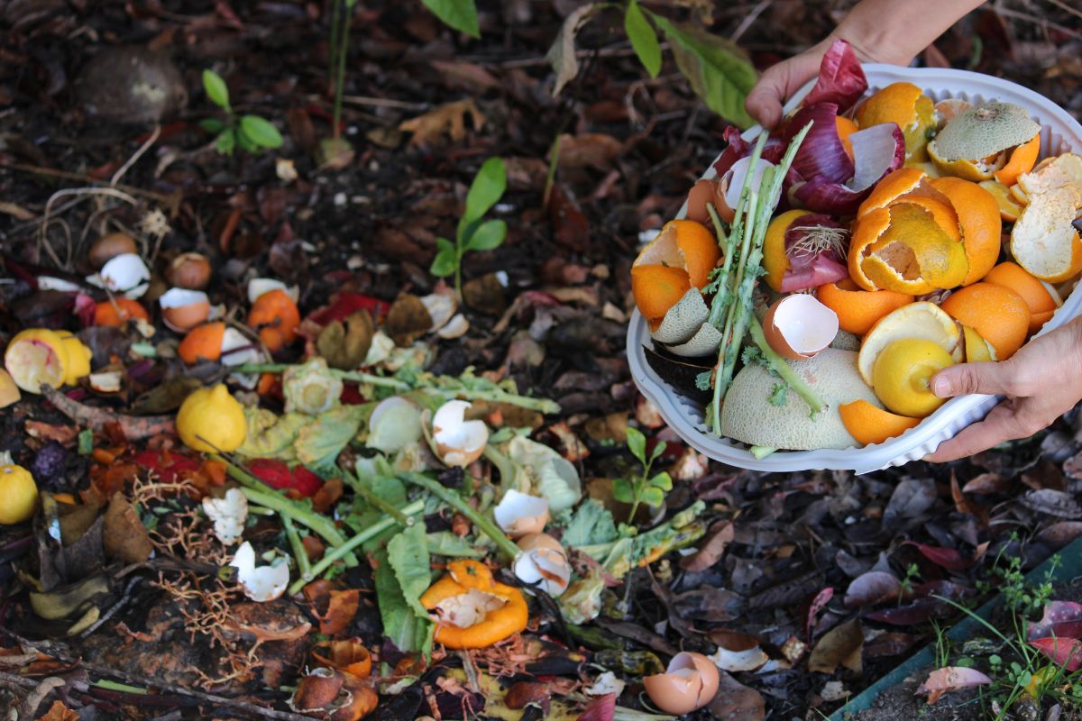 The Role Of Composting