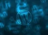 The Advantages of Hiring WordPress Developers